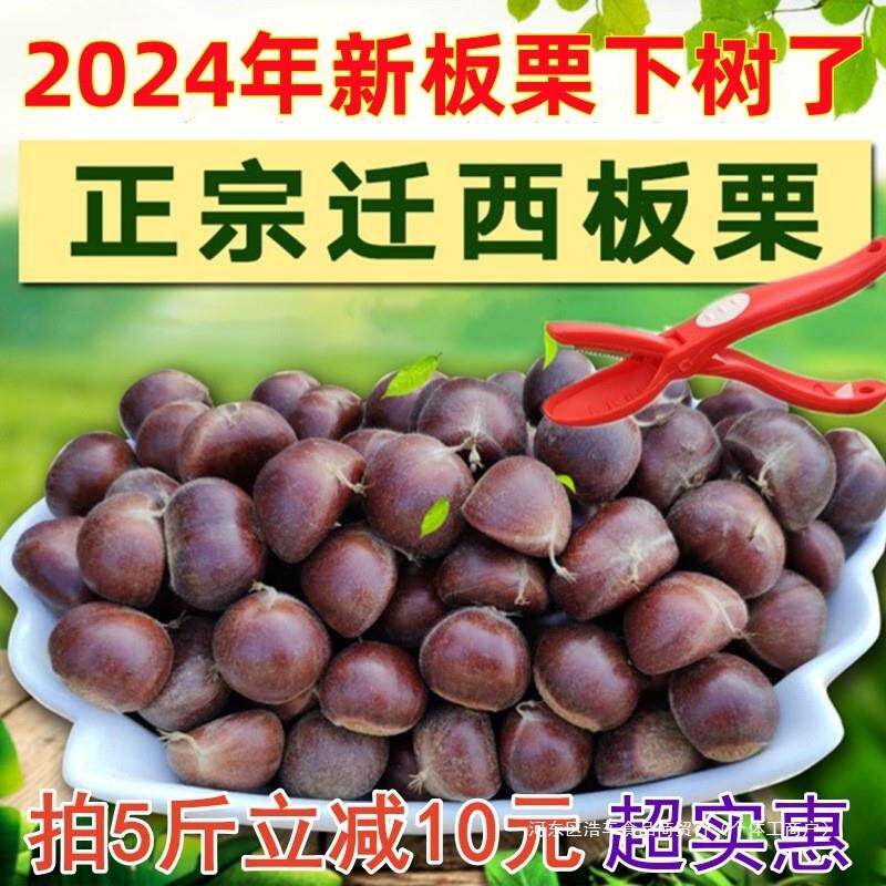 新货栗迁西正宗板栗生新鲜