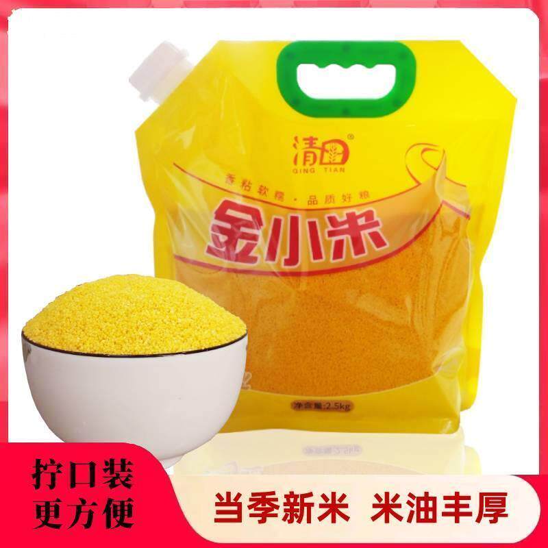 新货清田小米吃的食用黄小