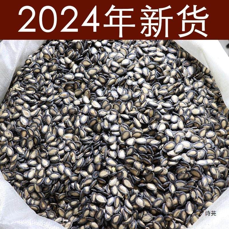 新货生西瓜子新货农家自种