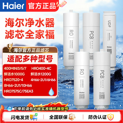 海尔净水器HRO400MINII3/HRO400/4H66/10H66/HKC3000-R762PCB滤芯