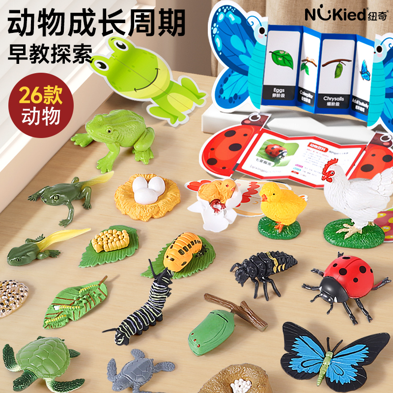 纽奇仿真动物模型套装