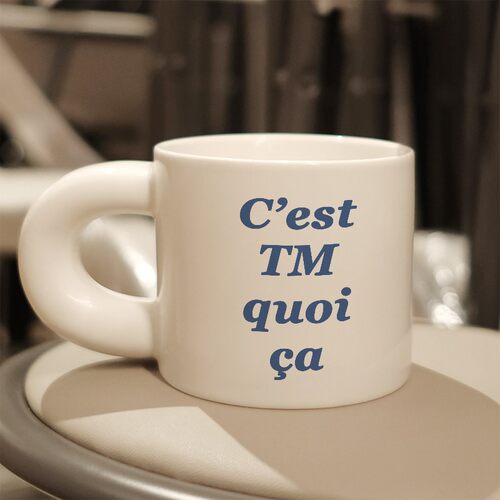 C'est TM quoi Ga高级感马克杯陶瓷小众情侣办公室咖啡杯子胖胖杯
