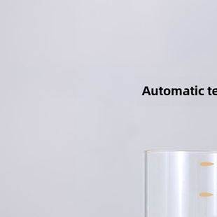 平仄60秒自流玻璃泡茶杯茶水分离茶具耐热办公室泡茶200ml