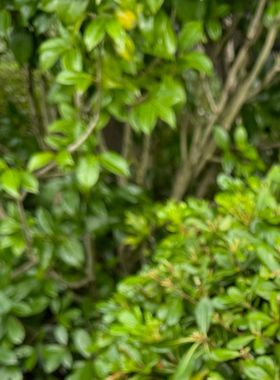 道家黄铜一体天师龙虎剑紫薇讳七星剑龙虎山天师剑五行剑一体铜剑