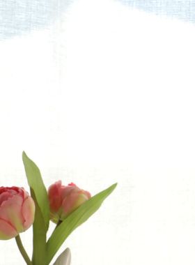 MUSe Garden 粉嫩嫩 大颗草莓 蝴蝶结陶瓷书挡