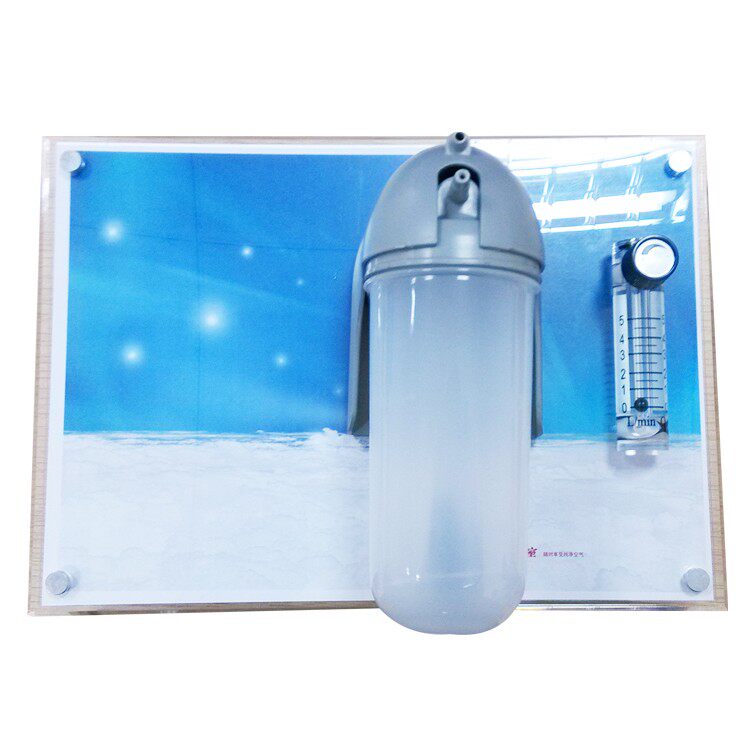 弥散式制氧机分体式氧气房间增氧机出氧终端带流量计负离子湿化杯