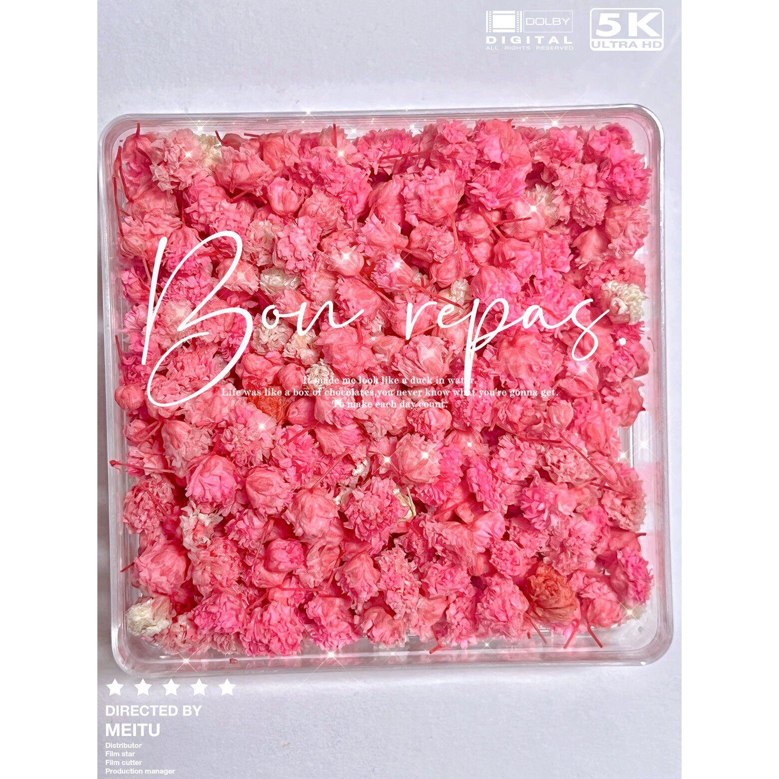 满天星花头干花（颗粒大，饱满毛茸茸的）满满一大盒颗粒大高质量