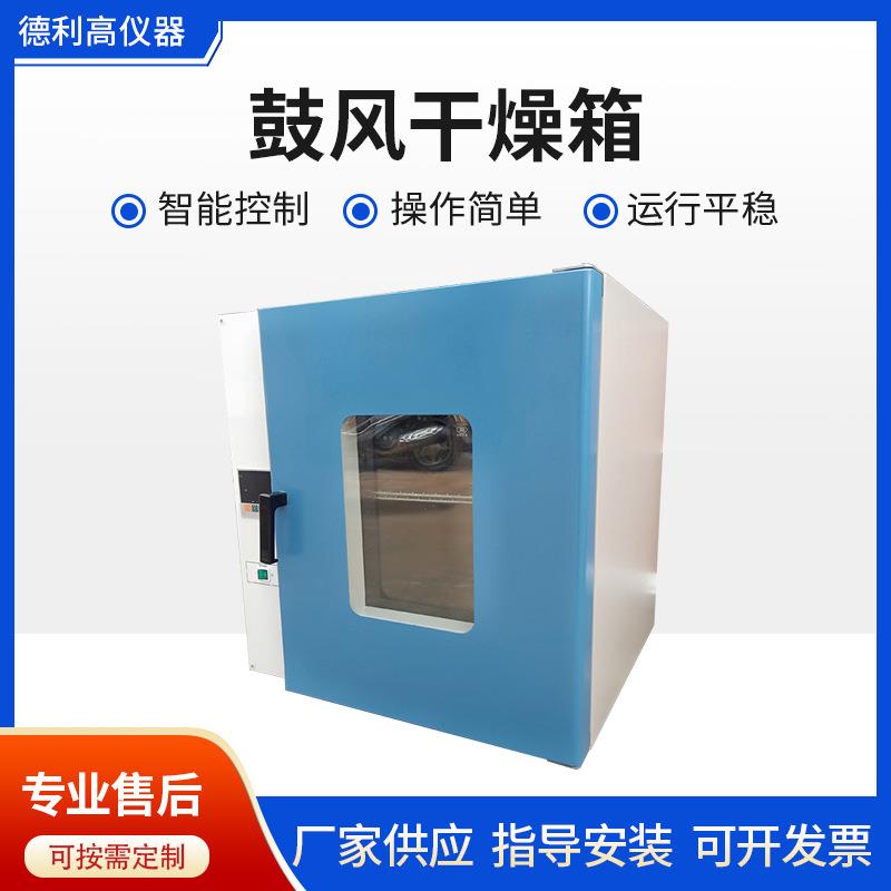 恒温试验箱高低温鼓风立式不锈钢干燥箱热风循环工业烘箱