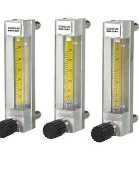 引进玻璃转子流量计定制 DK800-4/6气体氮气浮子流量计流量表器