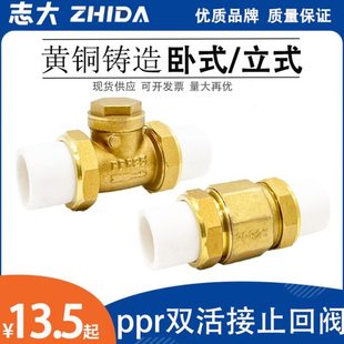 铜止回阀PPR铜卧立式 双活接单向阀逆止自来水管表4 6分DN20
