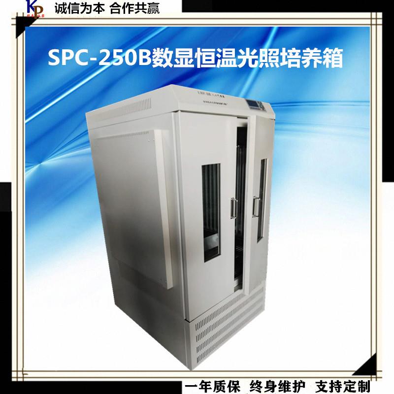 光照培养箱SPC-450B程序段光照培养箱恒温光照培养箱光照培养箱