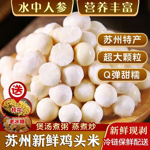 药食同源苏州新鲜芡实鸡头米采摘Q弹软糯清香冷链正宗产地直发
