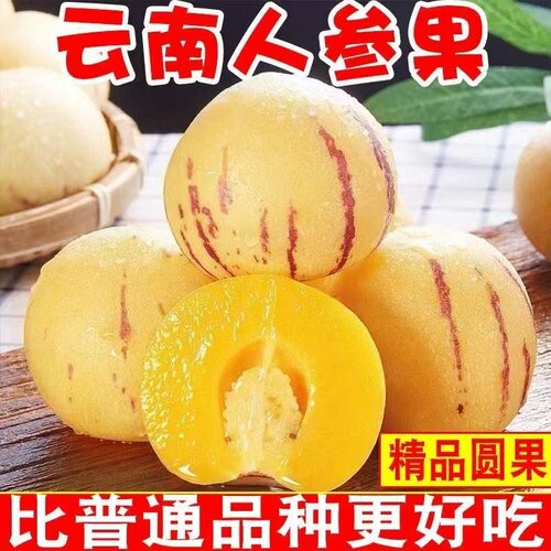 真树上熟云南树熟人参果黄心圆果黄肉清甜多汁新鲜水果
