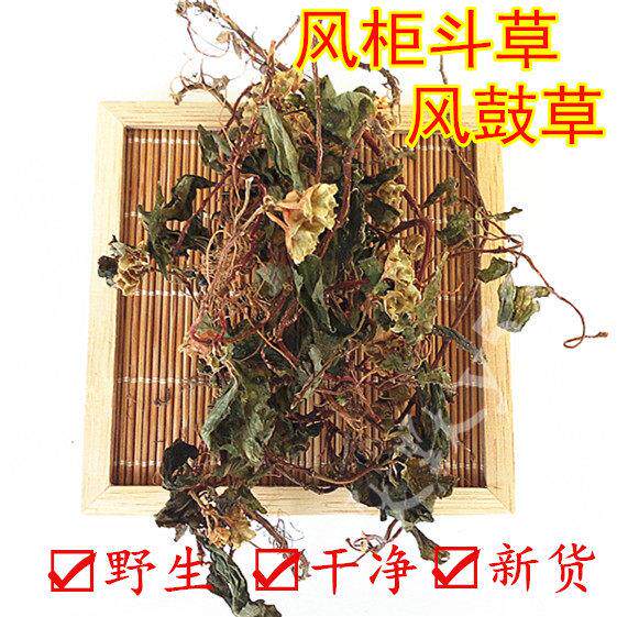 干品新货100g福建南靖土楼野生风柜斗草风鼓草风谷草风骨草包邮
