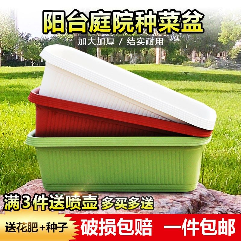 大种菜盆阳台庭院专用免托盘加厚树脂花盆盆长条盆蔬菜水果种植箱
