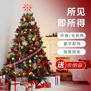 圣诞树家用装 2024新款 饰品圣诞节发光摆件diy挂件1.8米豪华加密树