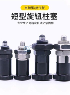 E-LPXSAN/LPXSKN柱塞C分度销PXSAN/PXSKN16PXRAN12PXRKN-LPXRAN