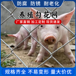 镀锌勾花网养殖围栏圈钢丝网果园户外隔离防护网包塑勾花网养鸡网