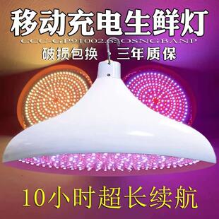 充电生鲜灯熟食鲜肉摊水果卤菜店蔬菜市场专用夜市摆摊led暖光