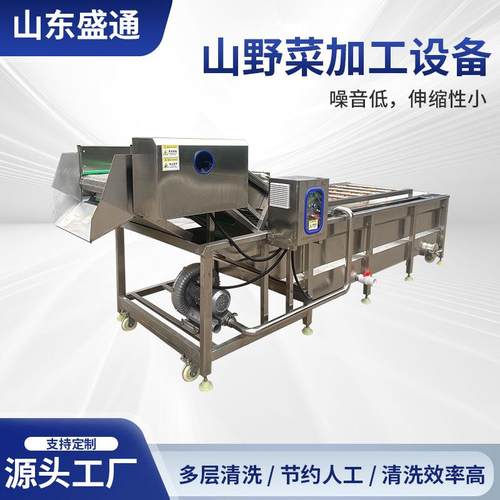 连续式山野菜生产设备保鲜净菜加工设备蕨菜荠菜气泡清洗机