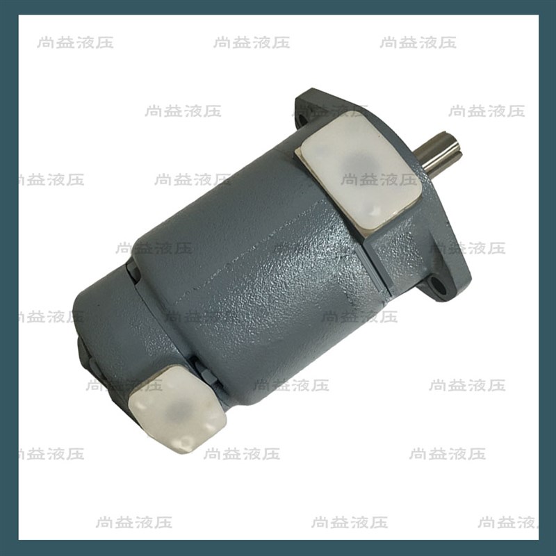 ANSON 台湾 安颂IVP21 IVP31 IVP32 IVP41 IVP42 IVP43双联叶片泵