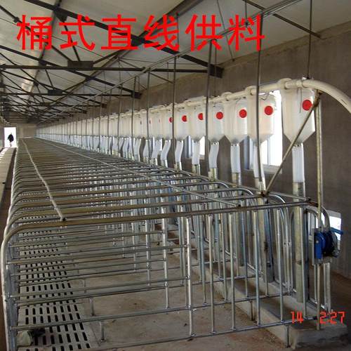 养猪设备料线猪用自动供料系统直线供料料槽电机绞盘厂商直供
