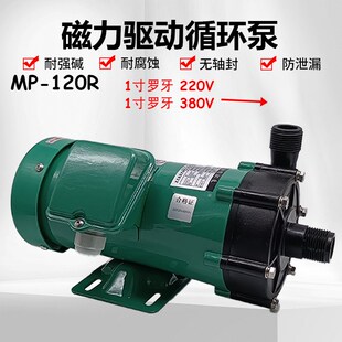 120R磁力驱动循环泵1寸罗牙微型磁力泵塑料电镀化工水泵离心泵