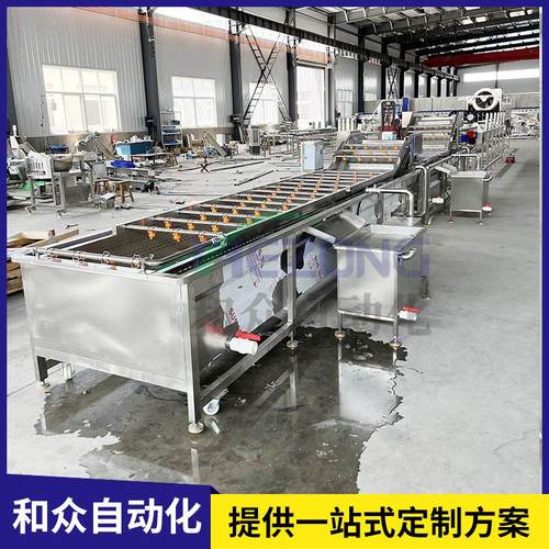 黑加仑气泡清洗机 大型橙子砂糖橘气泡清洗机 商用净菜消毒设备