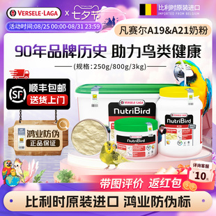 七夕节预售 凡赛尔A19奶粉A21幼鸟高能量蛋白小中大型鹦鹉鸟粮