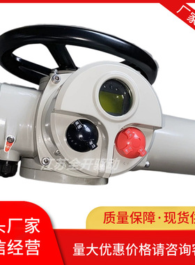 ZB20-18TZ可远程控制阀门执行机构多回转调节型 防护等级IP65