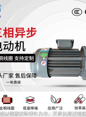 YE3-160M1/M2/L-8极铁壳电机 4/5.5/7.5W 380V纯铜芯三相电动机
