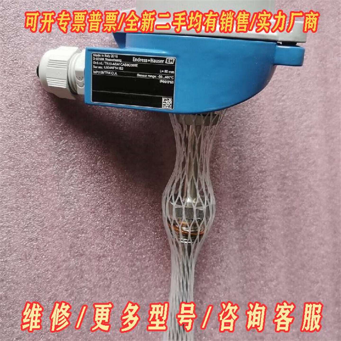 议价E+H tr10-aba1cas8c300e 实物拍摄，全新维修