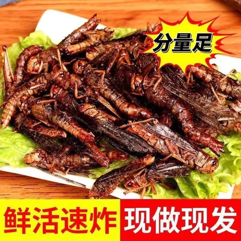 回购率78%口味酥脆营养油炸蚂蚱