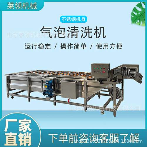 不锈钢灰枣气泡清洗机商用柠檬高压喷淋式鼓泡机小油菜气泡洗菜机