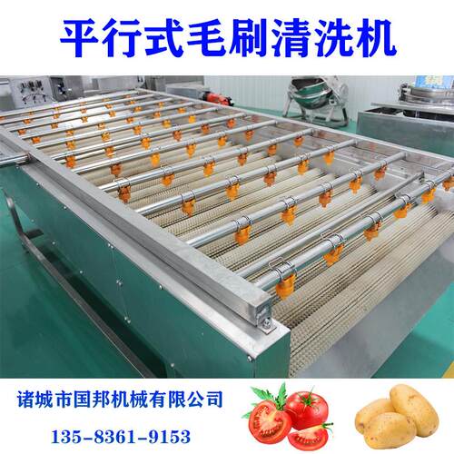 -连续平行式毛刷清洗机山药毛辊清洗机全自动扇贝清洗设备