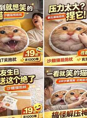 耄耋抱枕圆头馒头抱枕搞怪猫解压生日礼物送朋友闺蜜家居创意玩偶