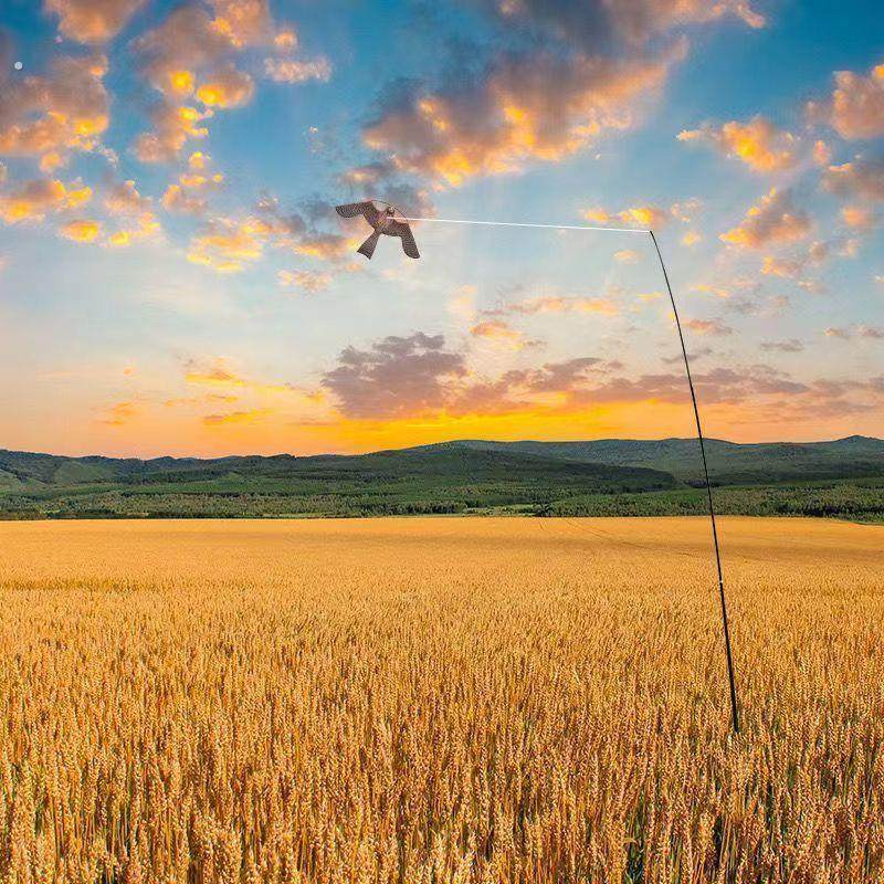 农田吓鸟老鹰风筝放撕裂防水抗风防撕裂彷真老鹰吓鸟神器
