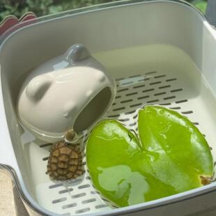 乌龟饲养缸躲避屋家用客厅宿舍桌面小型巴西龟晒台鱼缸换水方便