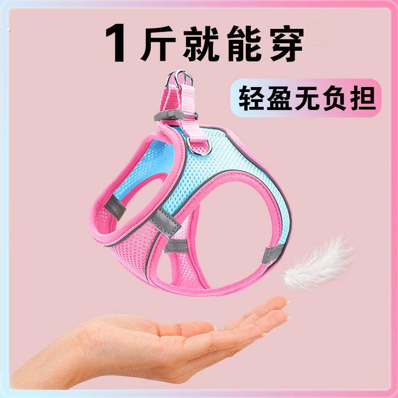 小体犬幼犬专用牵引绳超小体约克夏胸背茶杯犬1斤小号小鹿犬狗狗