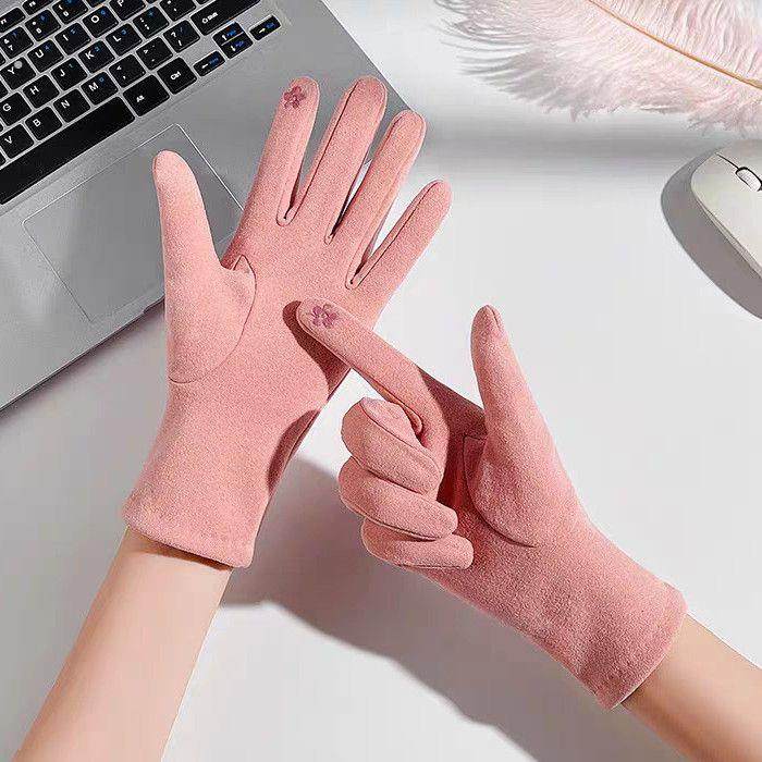 电动车手套加绒冬季防风女士手套秋冬简约时尚亲肤可触屏手套冬天