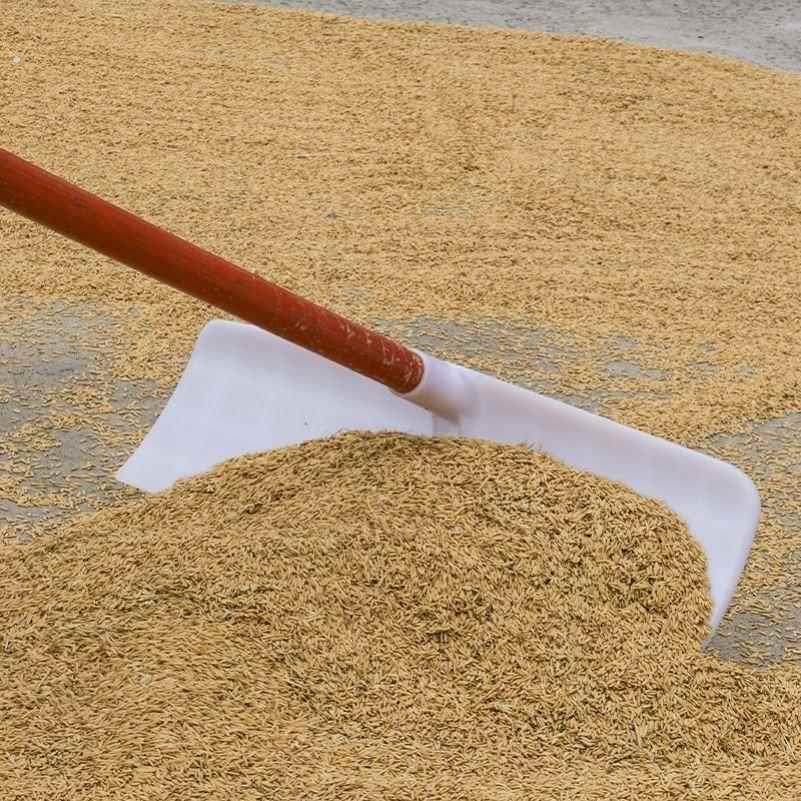 收谷子工具收稻谷神器铲谷收谷子铲子农用工具刮耙粮食晒谷耙户外