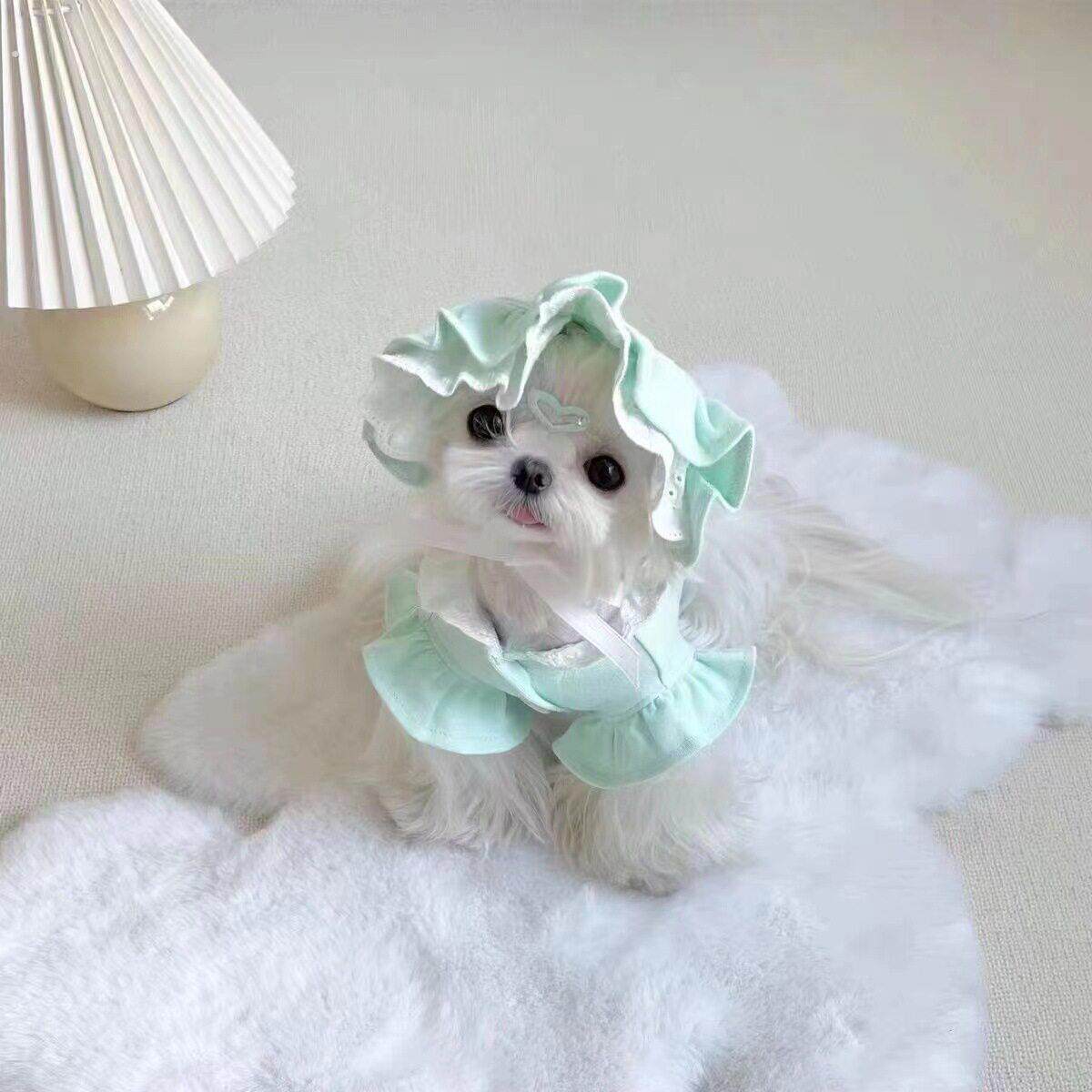 新款可爱舒适春夏泰迪博美小中型犬宠物狗狗猫咪幼犬公主衣服套