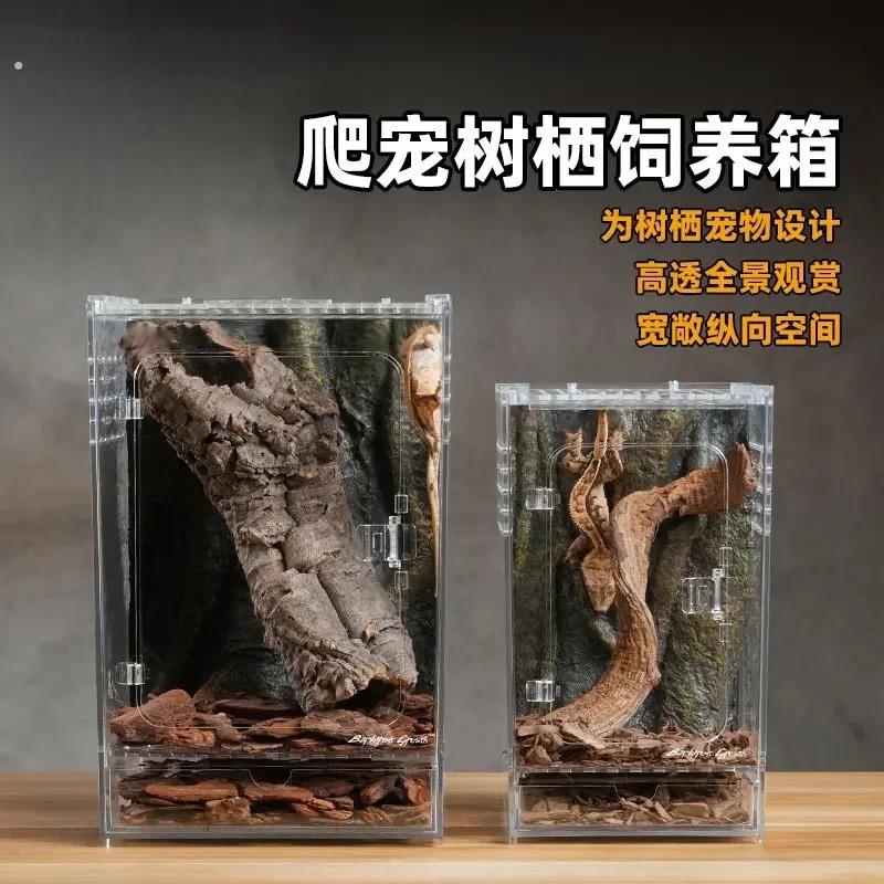 老爷树蛙睫角守宫专用饲养箱亚克力玻璃爬宠缸生态造景蜥蜴宠物蛇