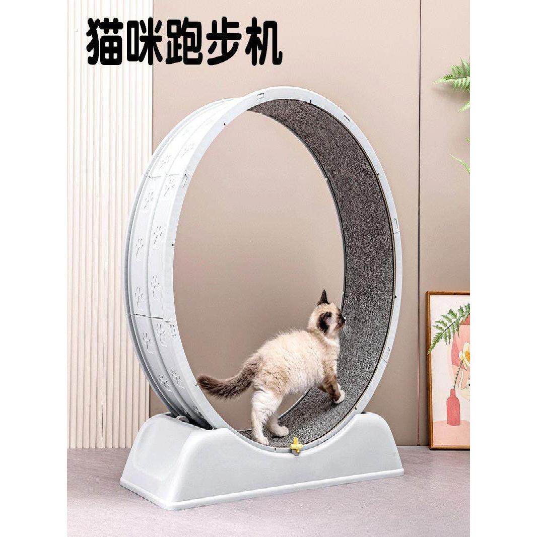 猫咪跑步机滚轮静音环保塑料猫狗运动健身防夹宽跑道宠物用跑步机