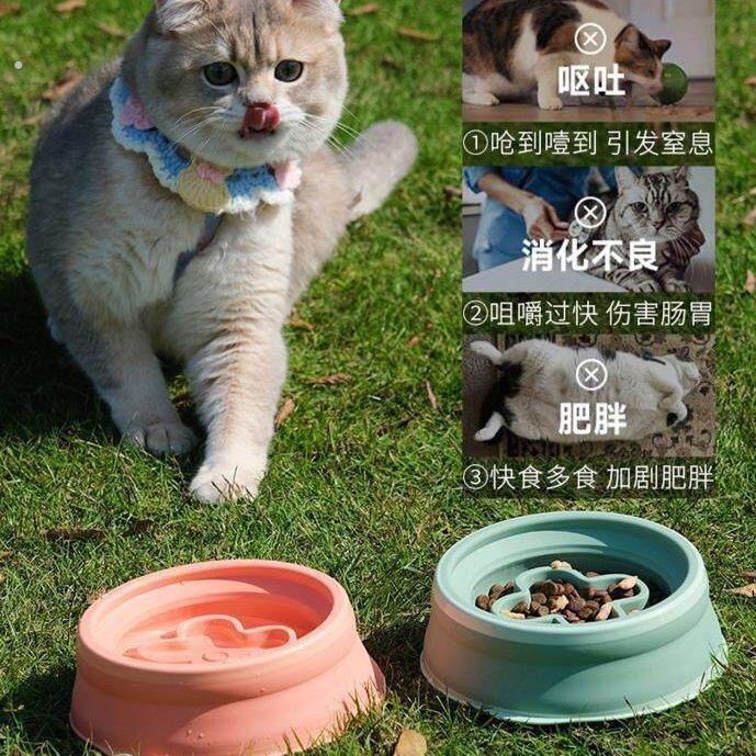 户外便携宠物折叠碗外出水杯狗碗专用双层不软塌遛狗遛猫露营出游
