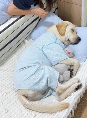 狗狗衣服四脚衣防着凉睡衣护肚子2026新款大型犬宠物衣服薄款居家