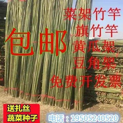 竹竿菜园搭架户外竹杆架种菜彩旗杆豆角架黄瓜架菜架小竹子细竹竿