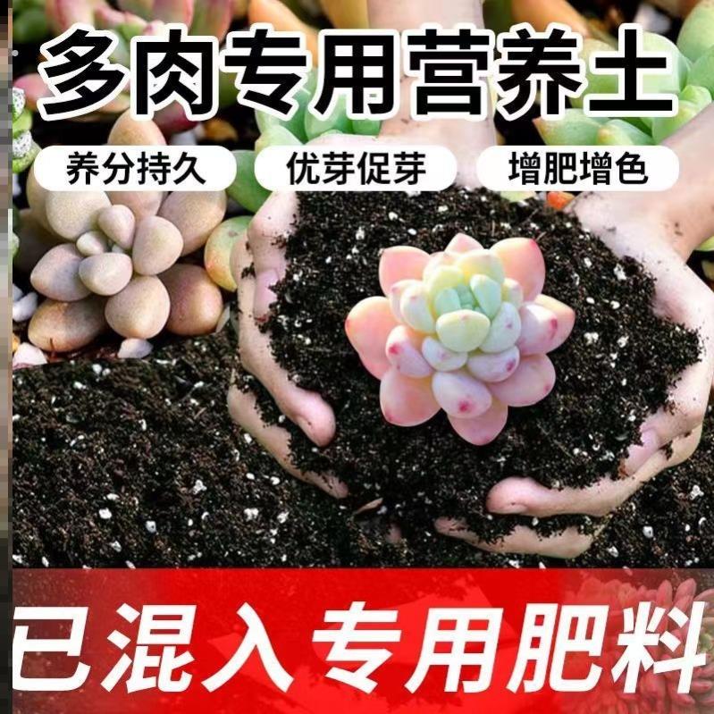 多肉专用土肉肉营养土盆栽土种植土多肉小苗土家庭多肉土花卉土壤