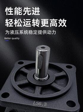 永菱叶片泵Yb1-2.5/4/6.3/10/12/16/20/25/32/40/50 80 100 125