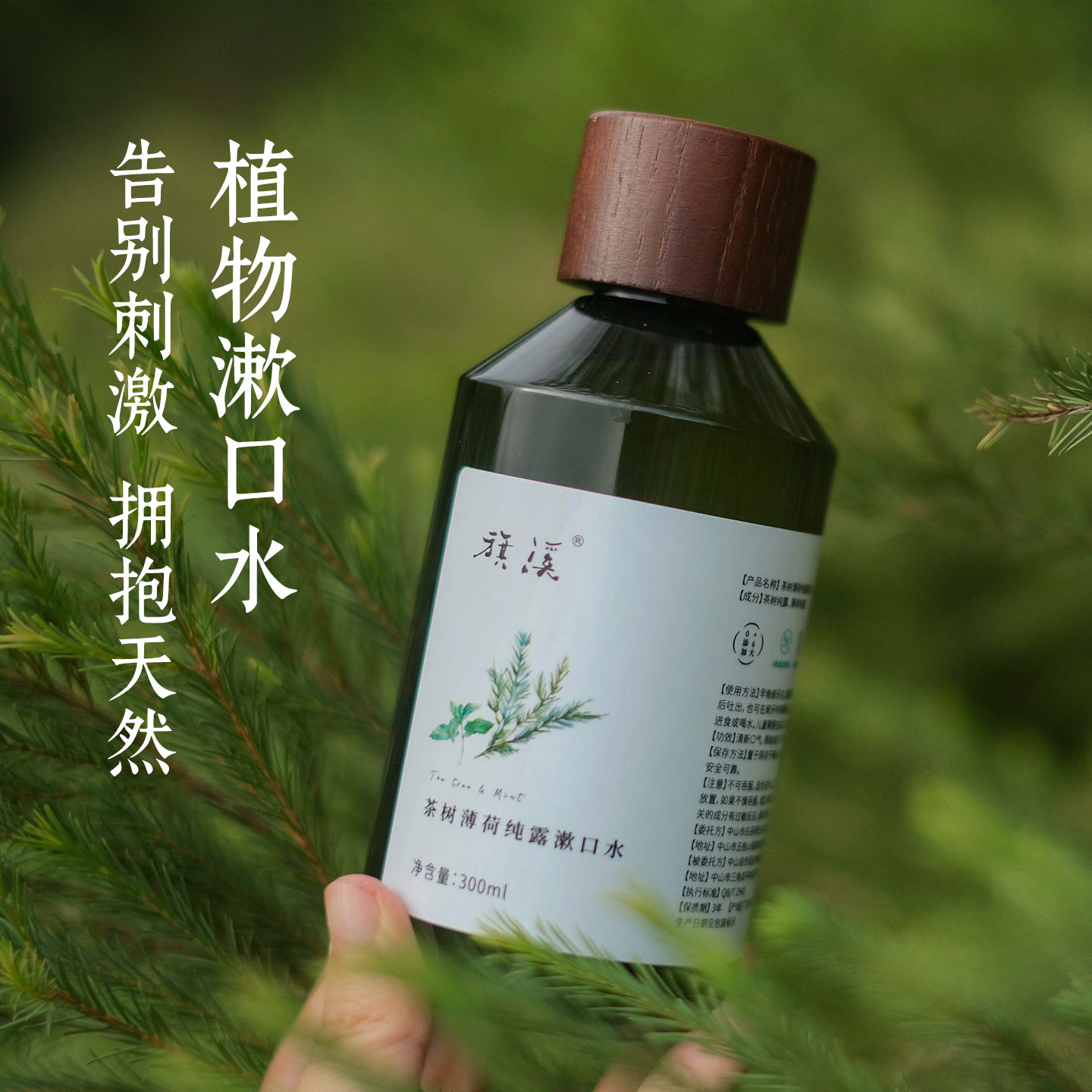 茶树薄荷漱口水无酒精温和不辣嘴小瓶装植物配方口腔清新口气